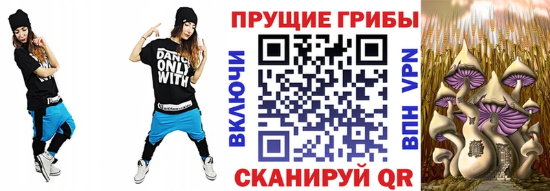 Галлюциногенные грибы GOLDEN TEACHER купить закладку Меленки